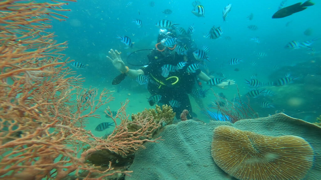 Scuba Diving tại Hòn Rỏi - Phú Quốc